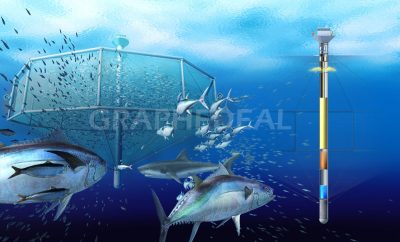 Ferme marine - Science&Vie Junior