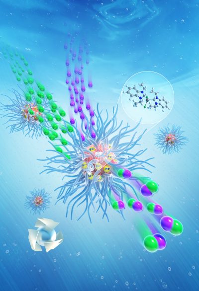 Micelle - Polymer Chemistry