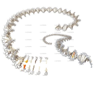 Science & Vie - Création de bases ADN