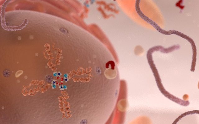 Biotechnologies : comment expliquer simplement un mécanisme d’action pour influencer les décideurs !