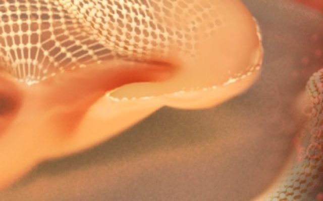 La Bio-impression Comment reconstruire le vivant.