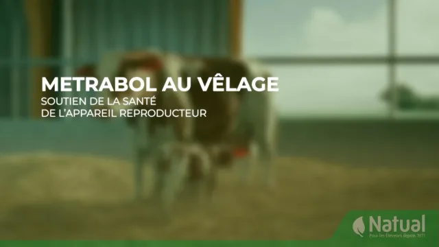 Film d'animation 3D — Techna-Metrabol