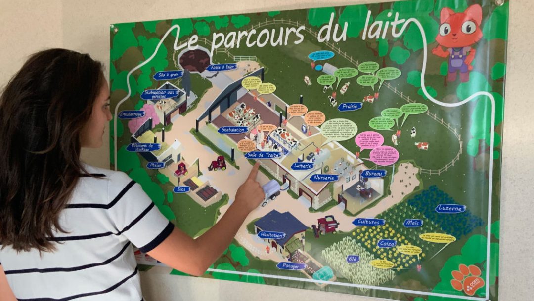 Ce jeu interactif a été décliné en illustration papier et affiché dans la salle de classe